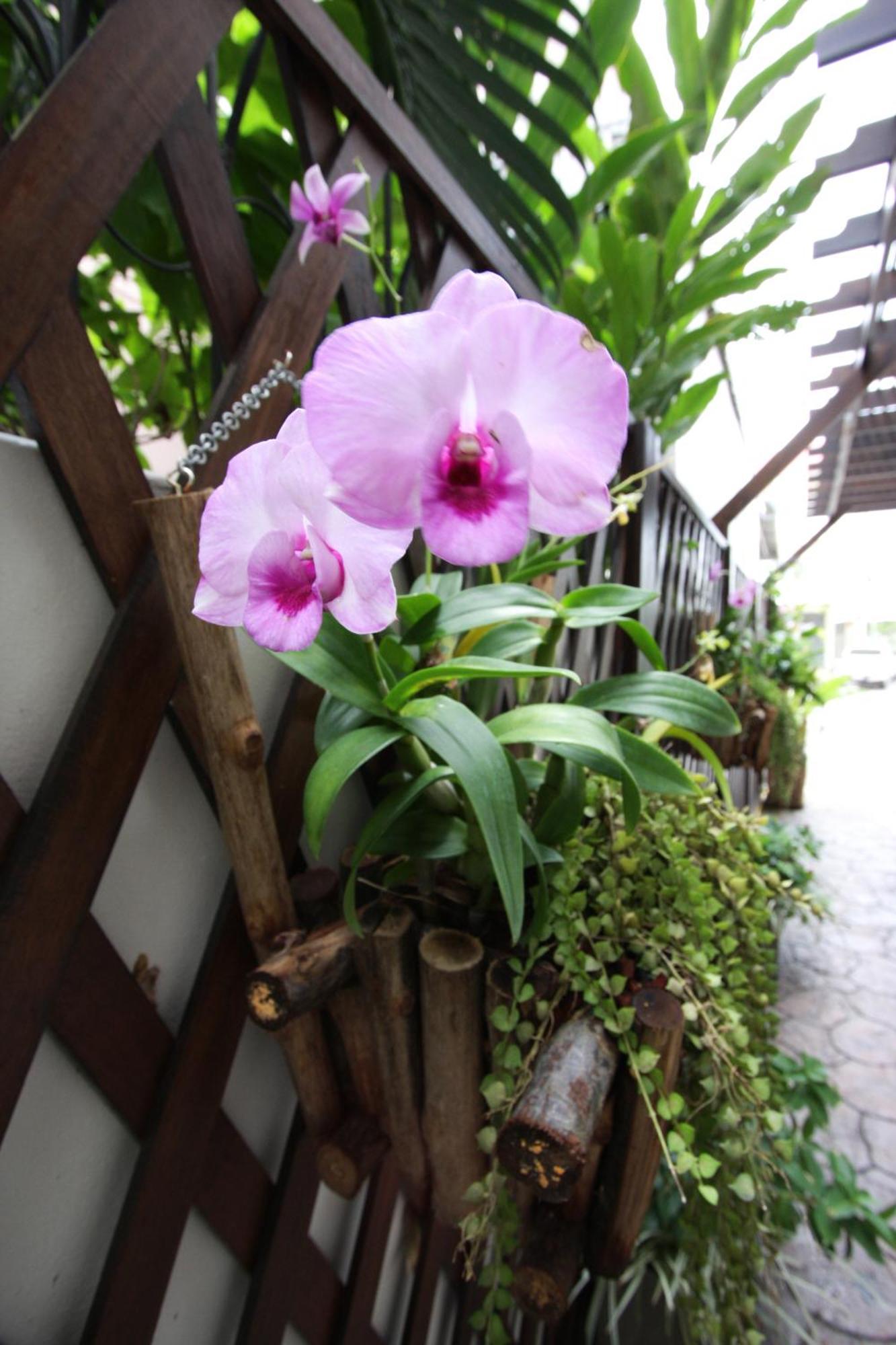 Chaba Place Huahin Kültér fotó